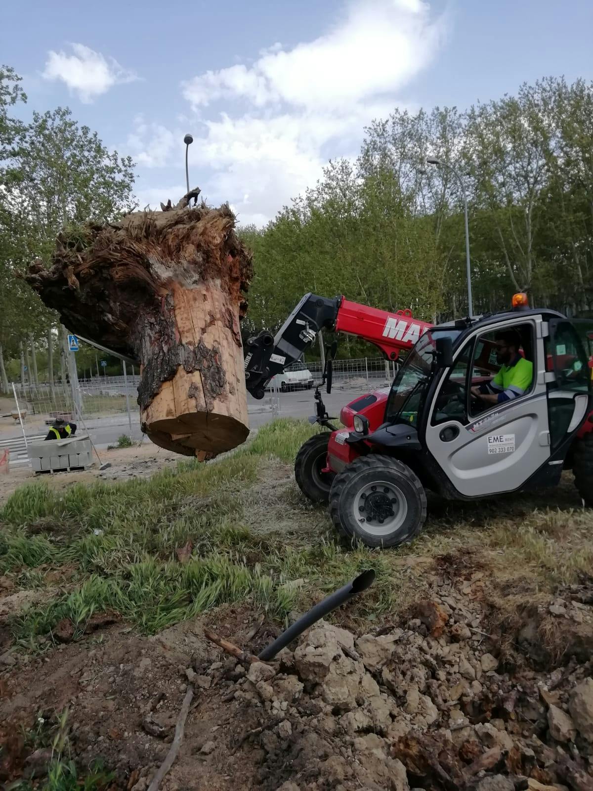 retirada árbol-obra-civil